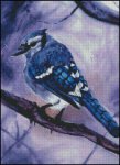 (image for) Blue Jay - HS